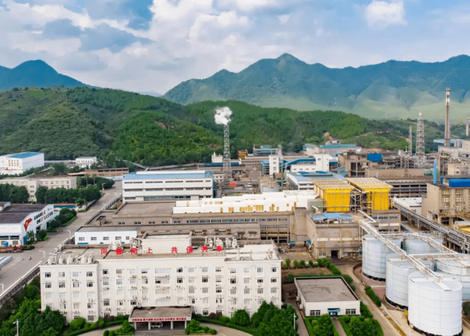 深圳市中金嶺南有色金屬股份有限公司丹霞冶煉廠